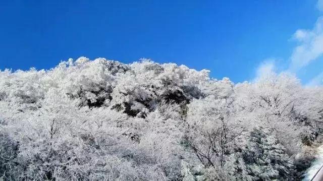 (长篇小说连载)《路》之一