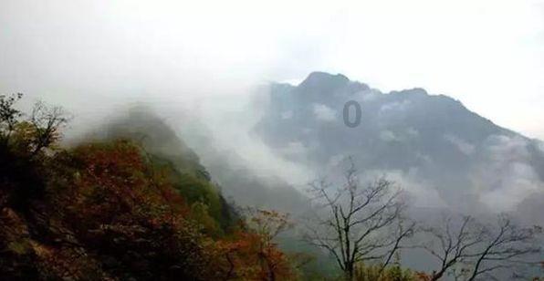 梯瓦制药期权聚焦:1月30日成交8.11万张,未平仓合约44.68万张