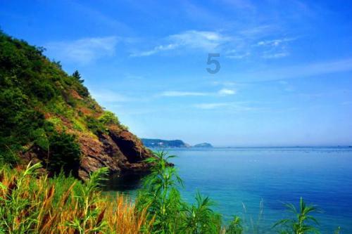 梯瓦制药期权聚焦:1月30日成交8.11万张,未平仓合约44.68万张