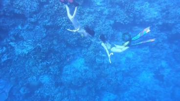 我是28岁男,姐姐很会赚钱,经常给钱爸妈,姐姐每次回娘家都很神气,邻居干嘛总说我比不上姐姐一半?-有问必答平台